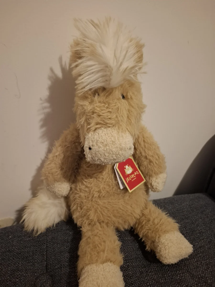 Front - Canterneigh Pony photo by bsyvee