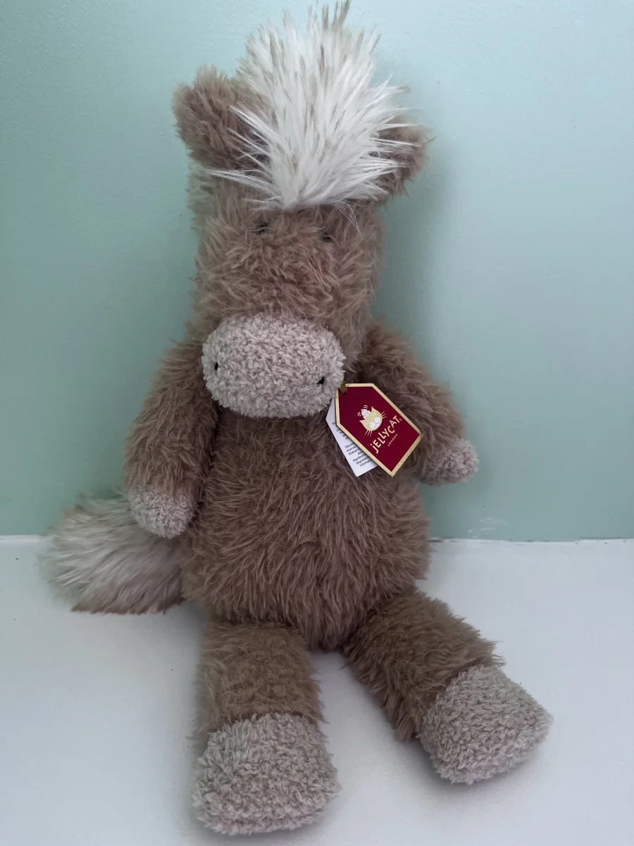 Front - Canterneigh Pony photo by M1ZZYM00