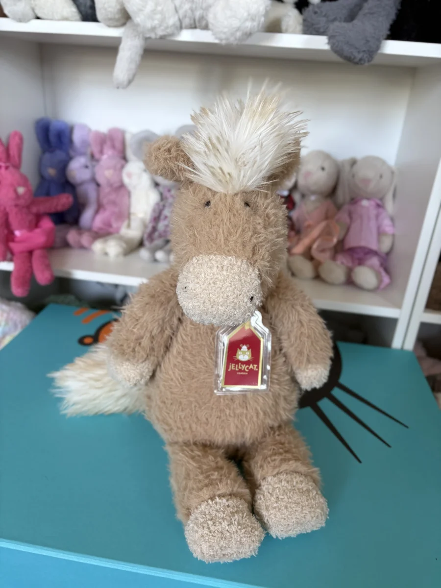 Front - Canterneigh Pony photo by jojokitty