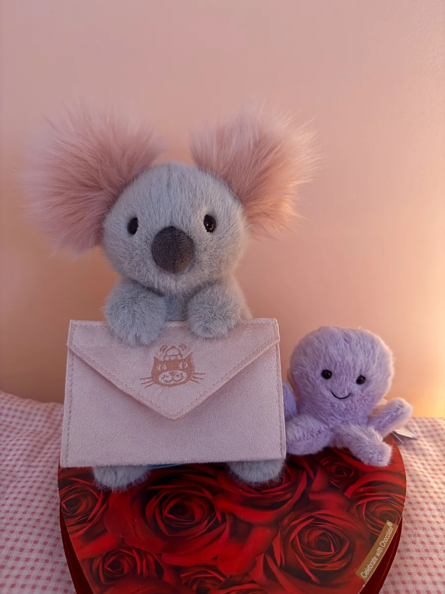 Front - Koala with Message photo by catycake