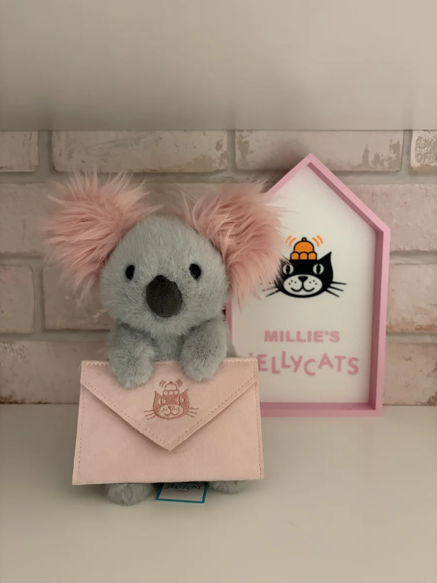 Front - Koala with Message photo by Milliebailey