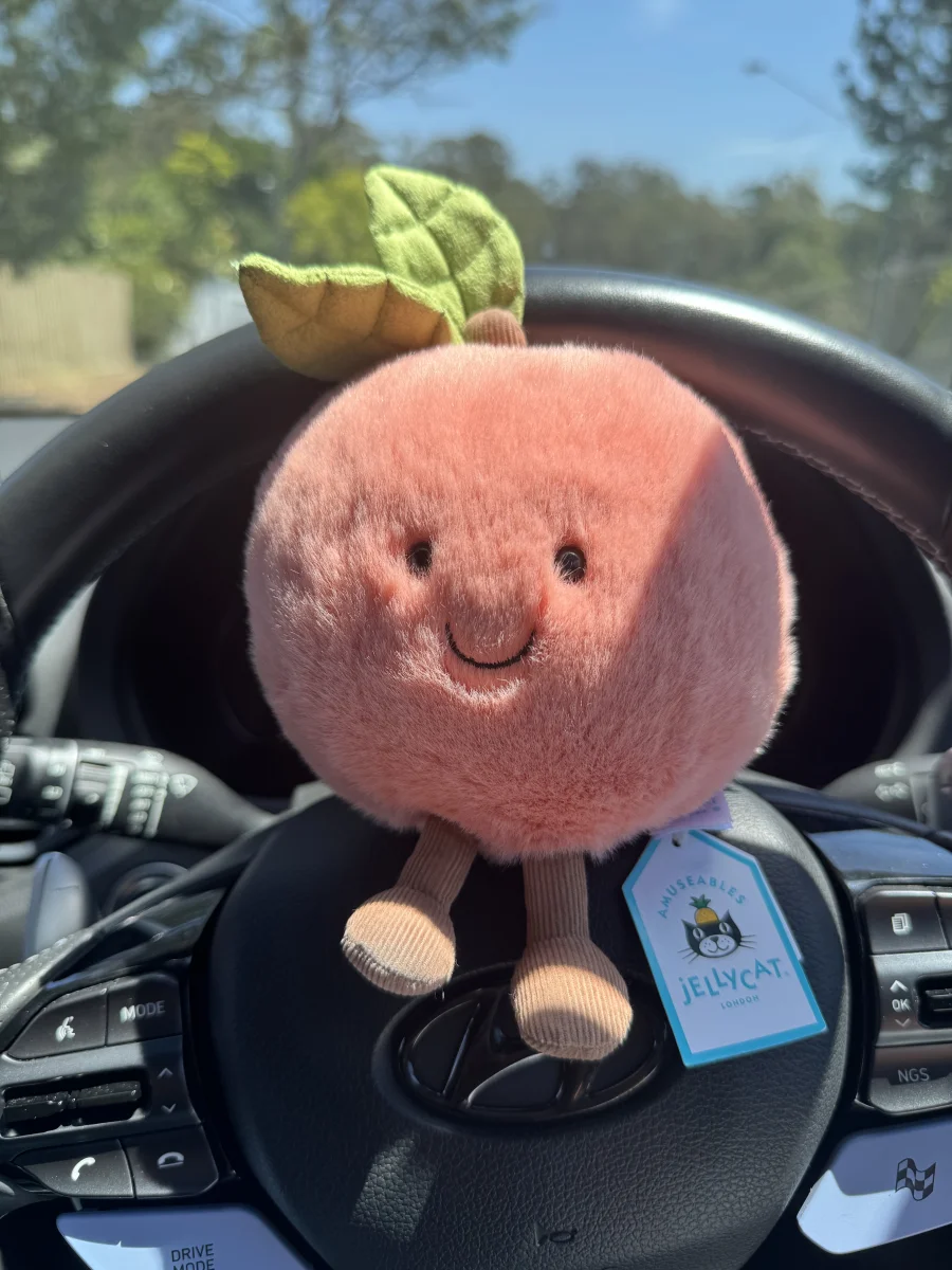Front - Amuseables Peach photo by Ellajordan