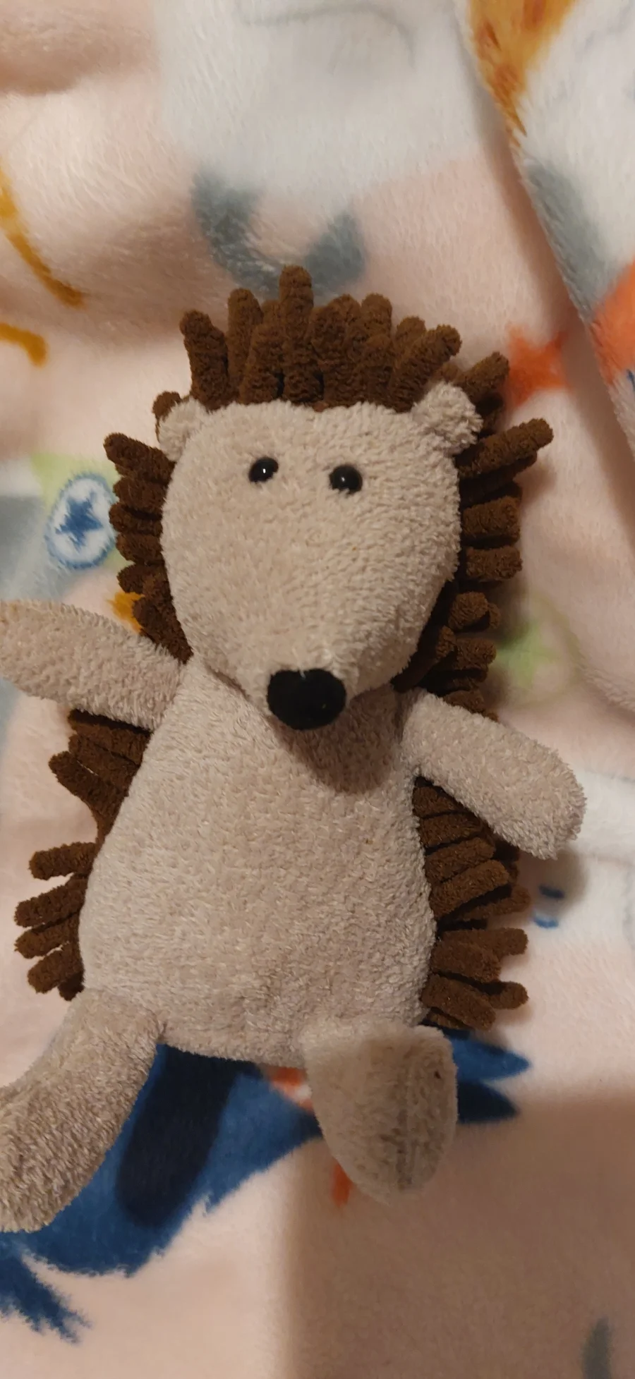 Front - Noodle Hedgehog - Small photo by Jellycolleeee82