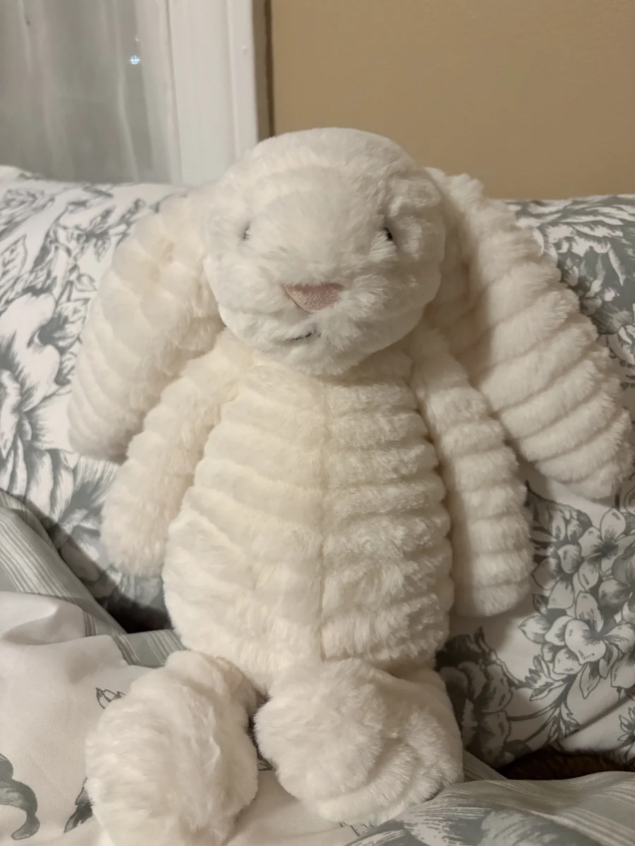 Front - Bashful Luxe Bunny Nimbus photo by Lex_suckow