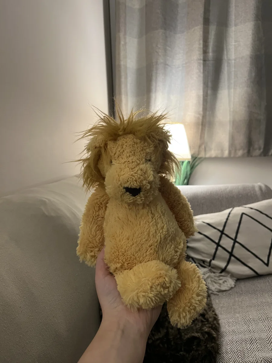 Front - Bashful Lion (Original) - Medium photo by Ambiedoo