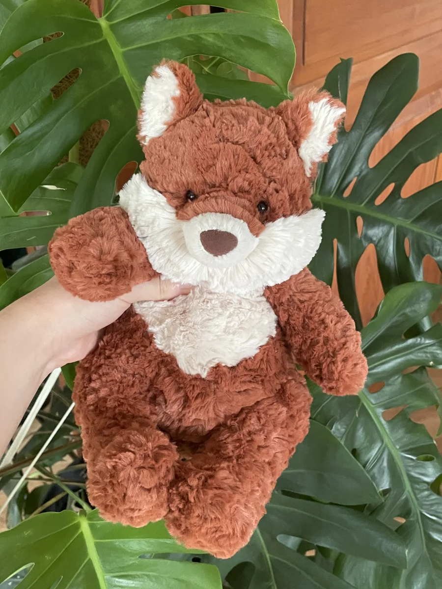 Front - Mortimer Fox photo by AboutBearsandBunnies