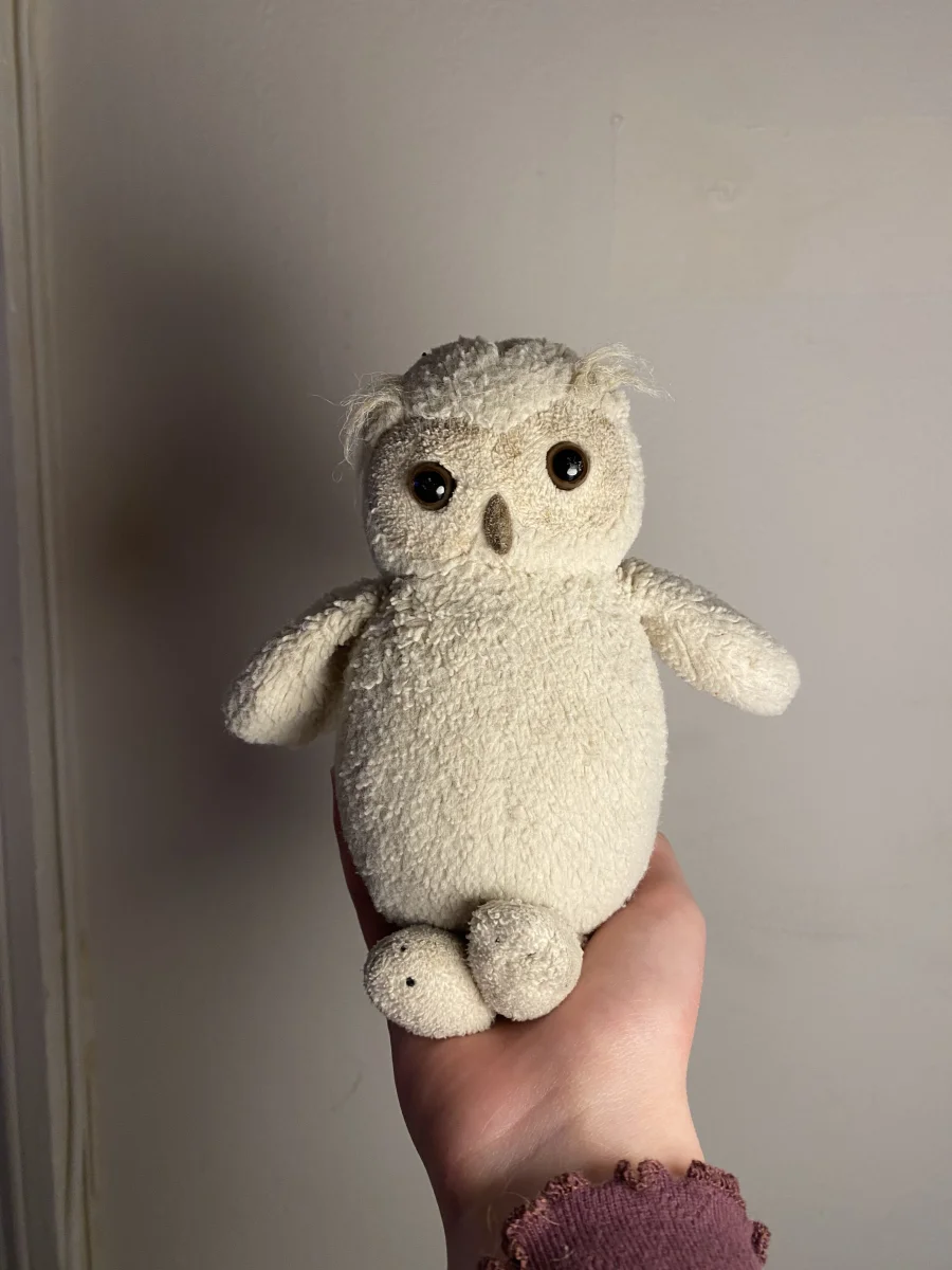 Front - Bashful Owl (Original) - Medium photo by FifisJellys