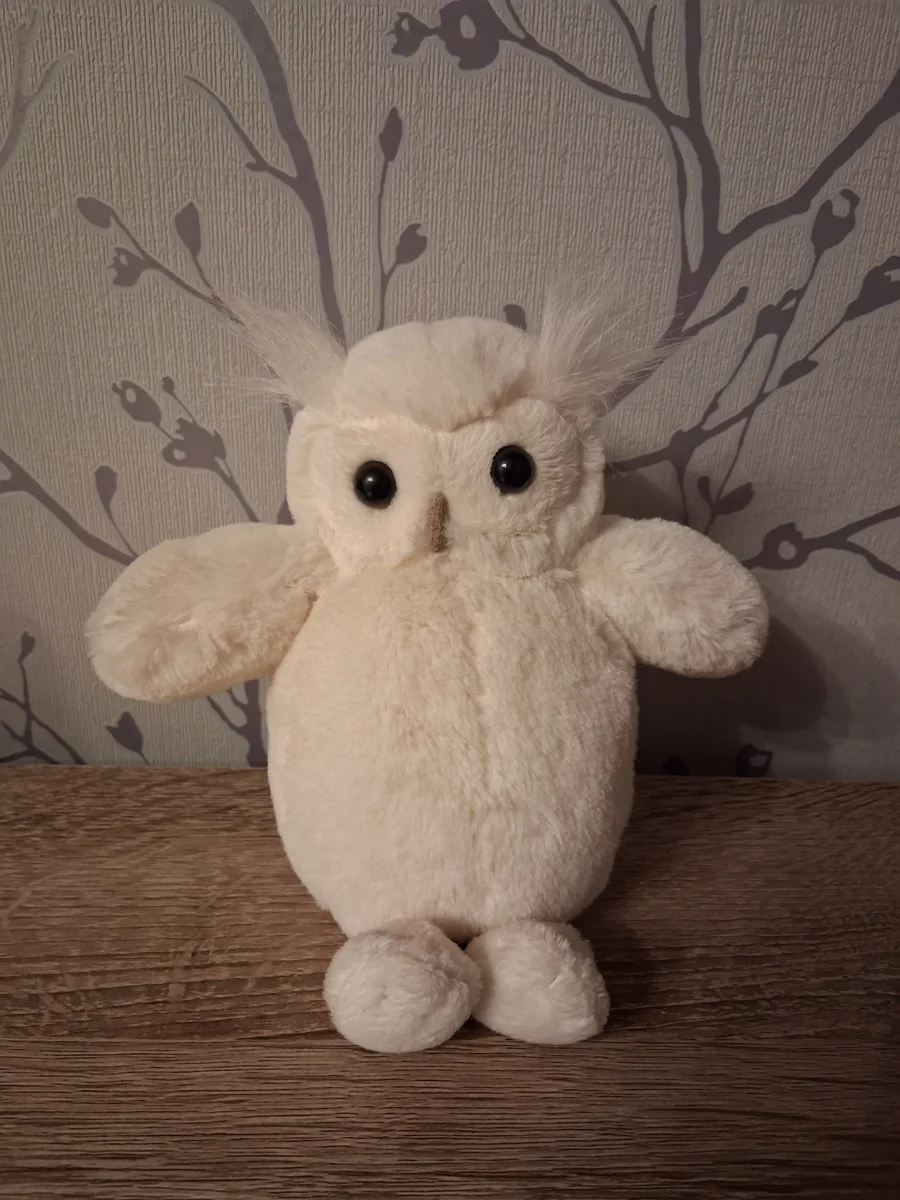 Front - Bashful Owl (Original) - Medium photo by Hope_Collectablez