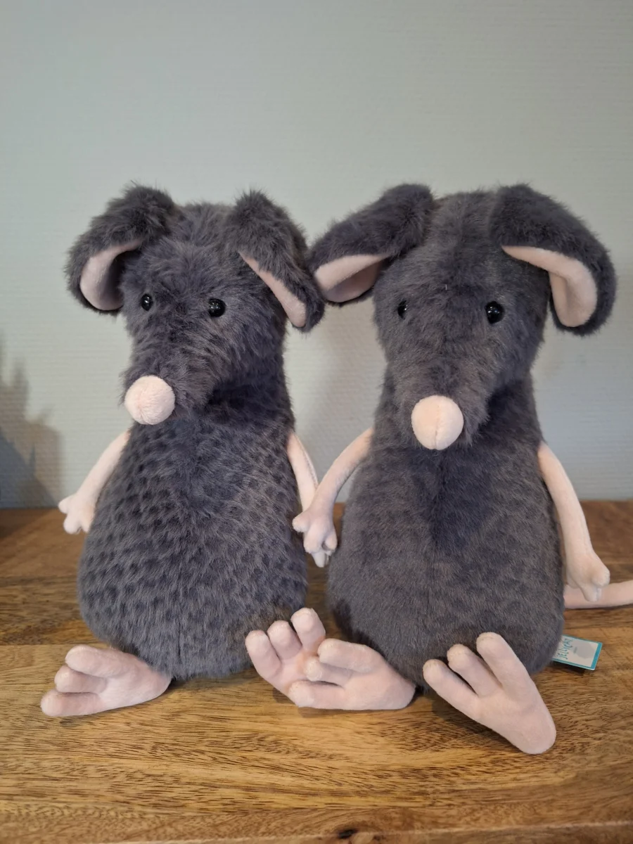 Front - Lachlan Sad Rat photo by Sofie