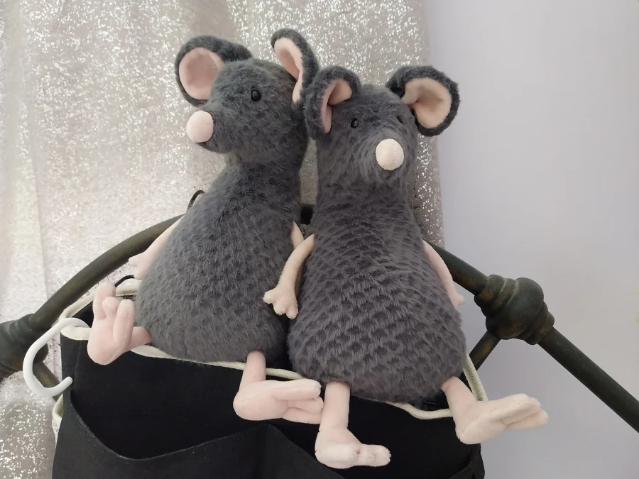 Front - Lachlan Sad Rat photo by Griffin