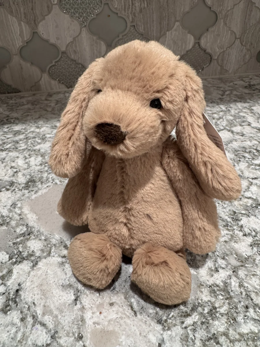 Front - Bashful Toffee Puppy - Small photo by SnowLeopard821
