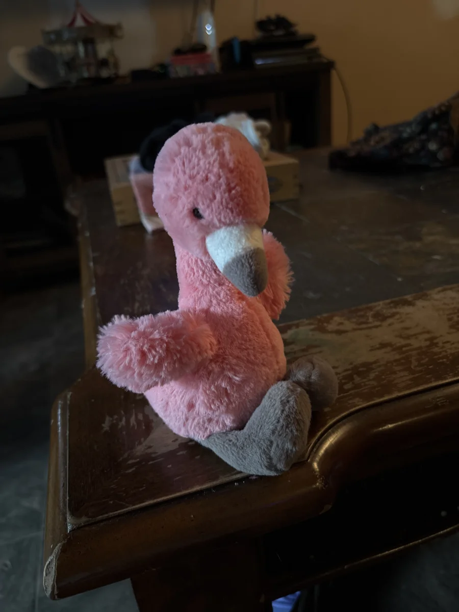 Front - Bashful Flamingo - Small photo by MommyNCharJelly