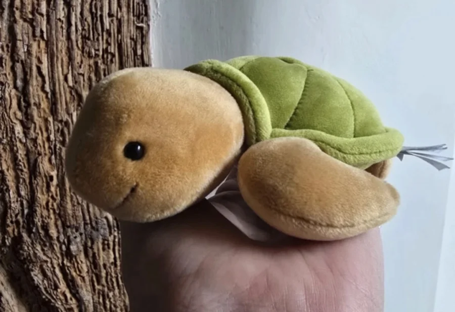 Side - CeeCee Turtle - Small photo by Gremlem22NBC