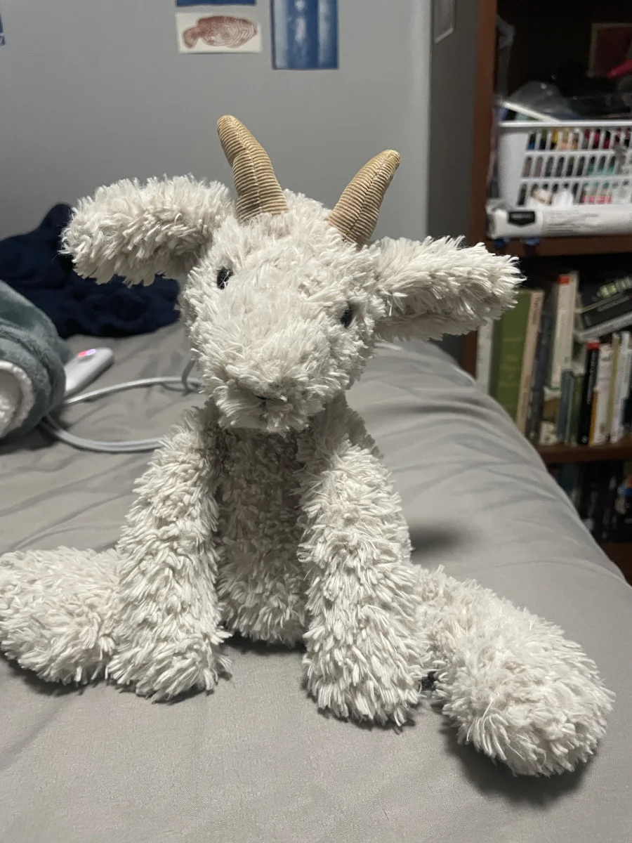 Front - Crumble Goat photo by teddybutch