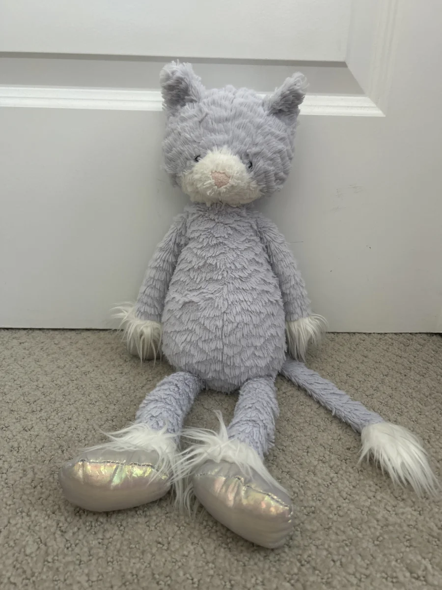 Front - Dainty Kitten - Large photo by kelseyjellycat15