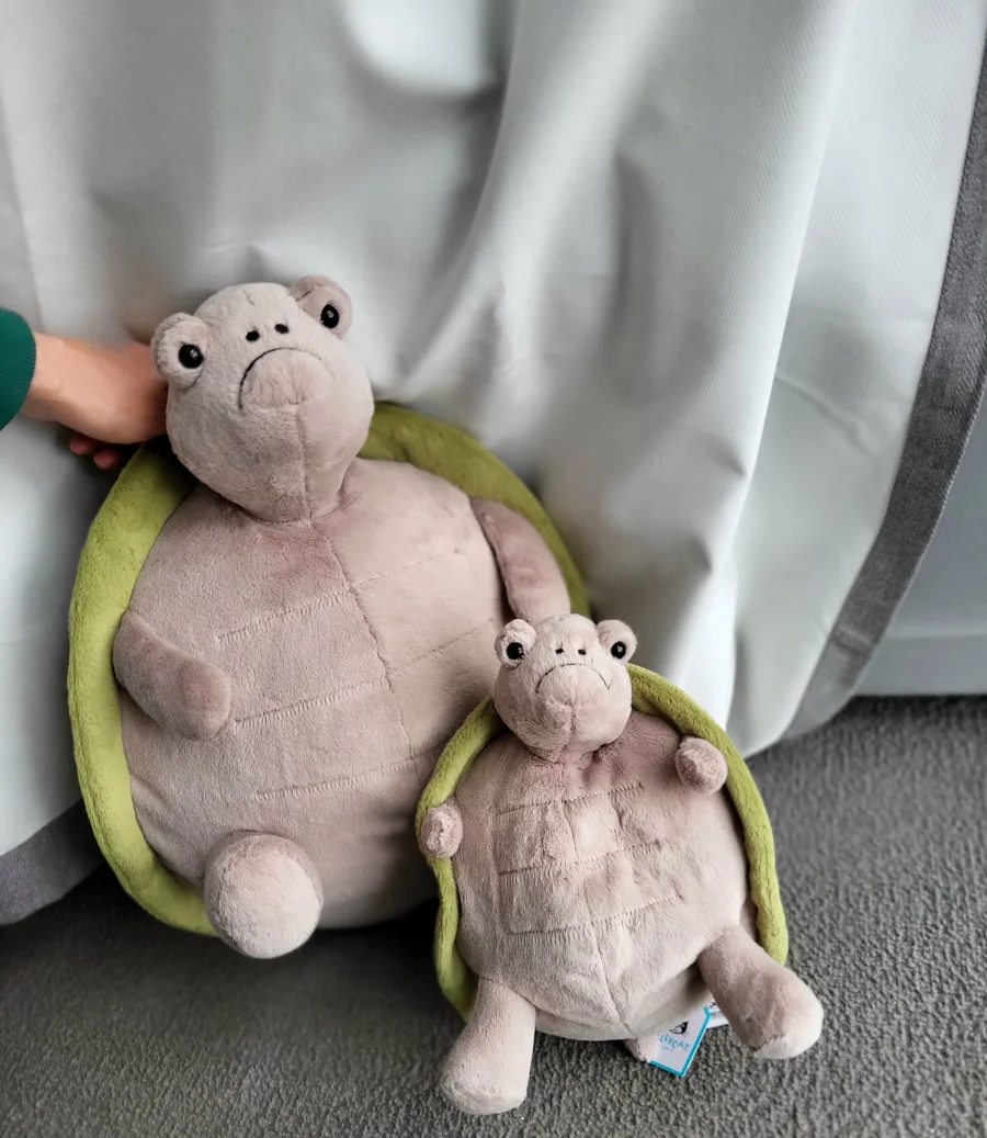 Front - Timmy Turtle - Big photo by Lowri