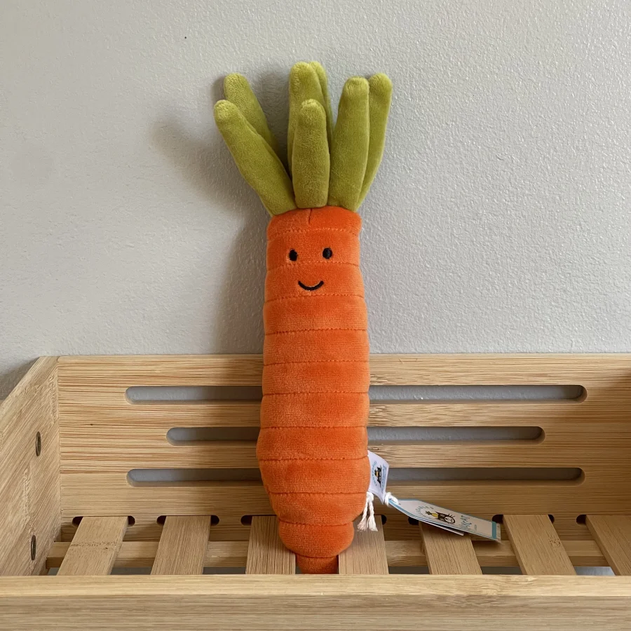Front - Vivacious Vegetable Carrot photo by charlotteriddettepage