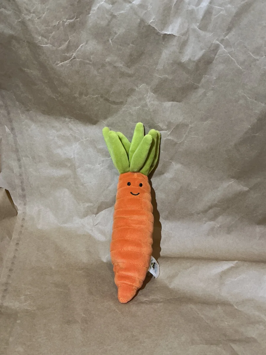 Front - Vivacious Vegetable Carrot photo by Mary2_2