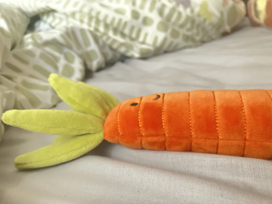 Side - Vivacious Vegetable Carrot photo by Astral
