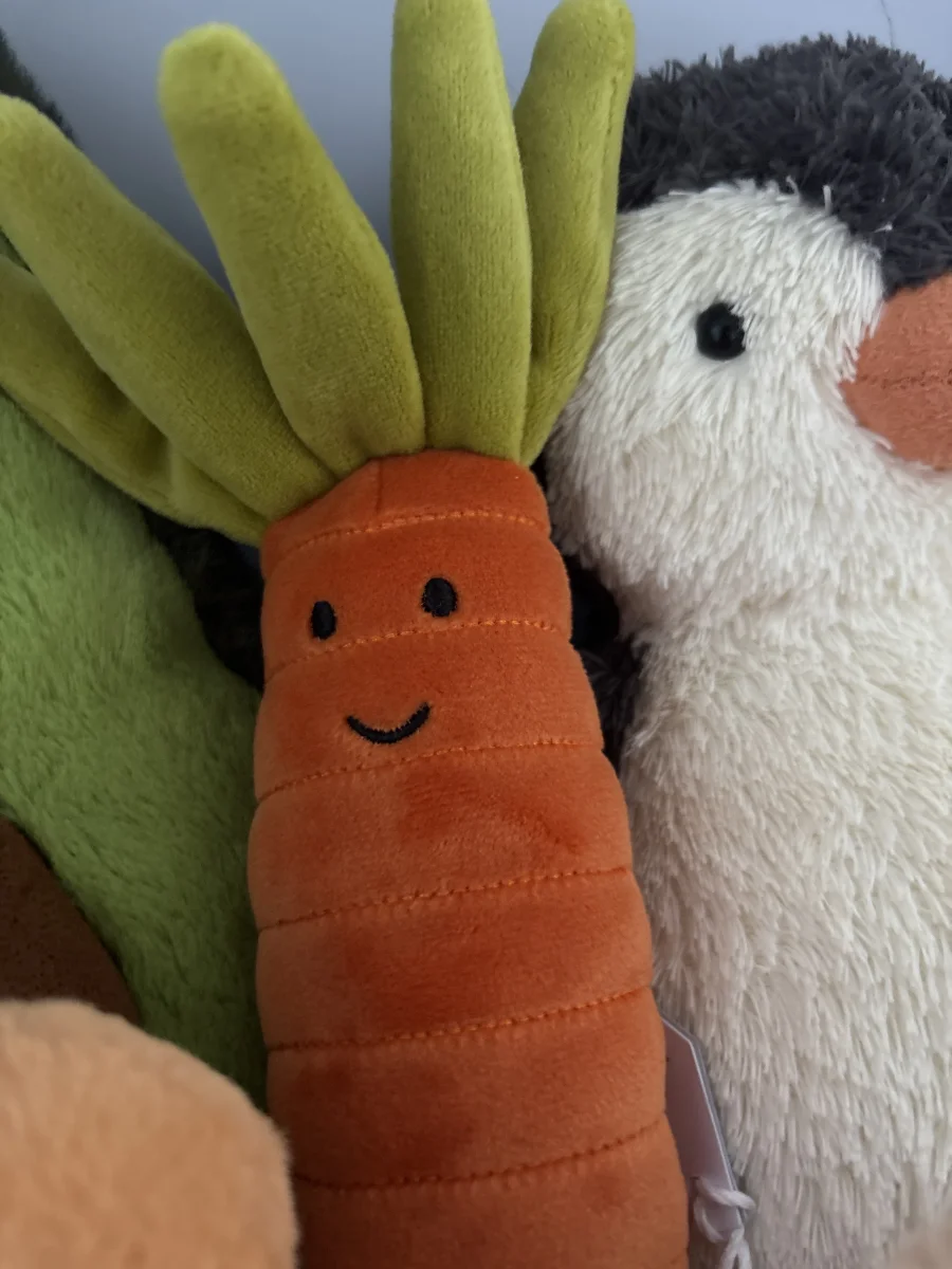 Front - Vivacious Vegetable Carrot photo by caljacobs