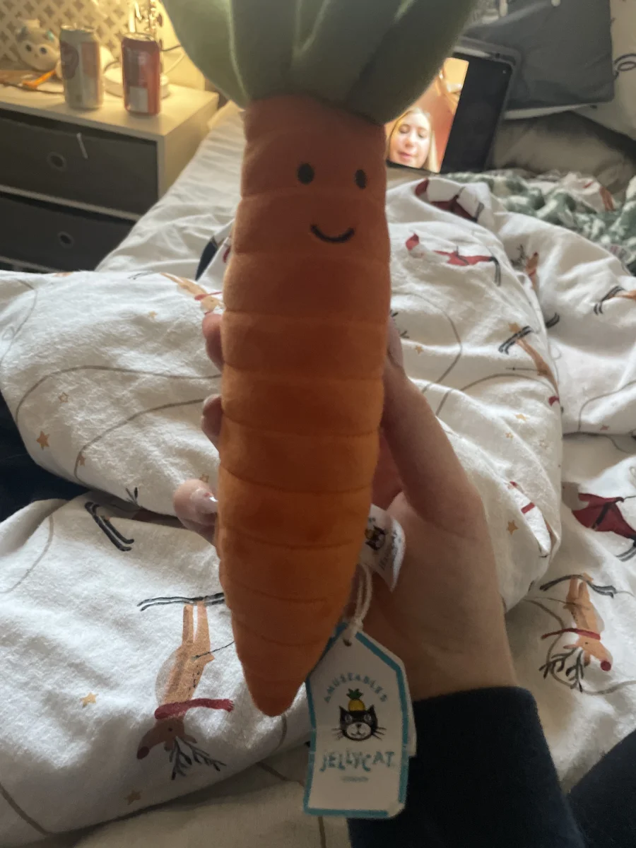 Front - Vivacious Vegetable Carrot photo by Pips215