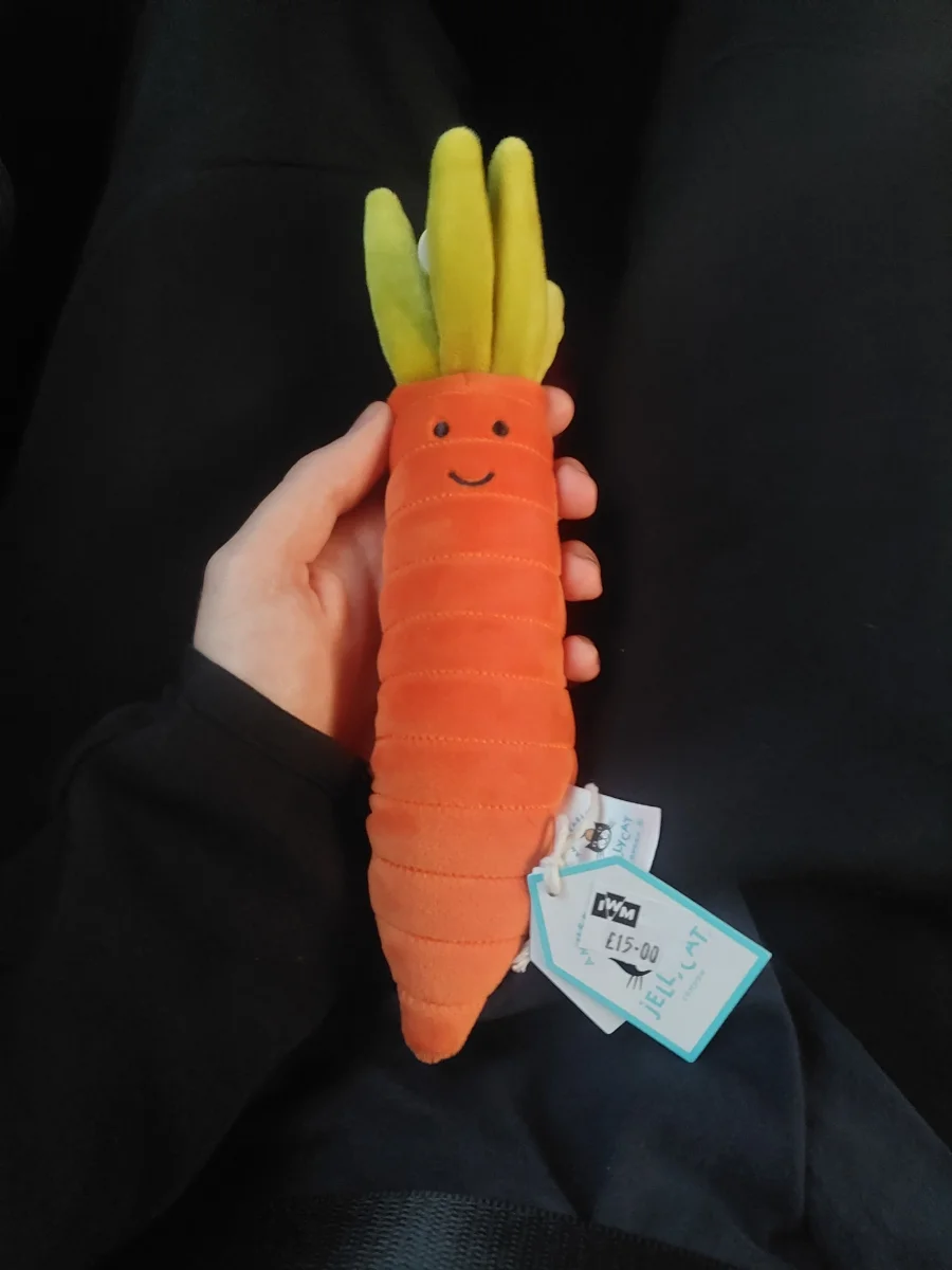 Front - Vivacious Vegetable Carrot photo by Alfielovescars