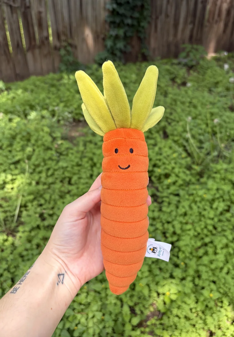 Front - Vivacious Vegetable Carrot photo by AmberrGolden