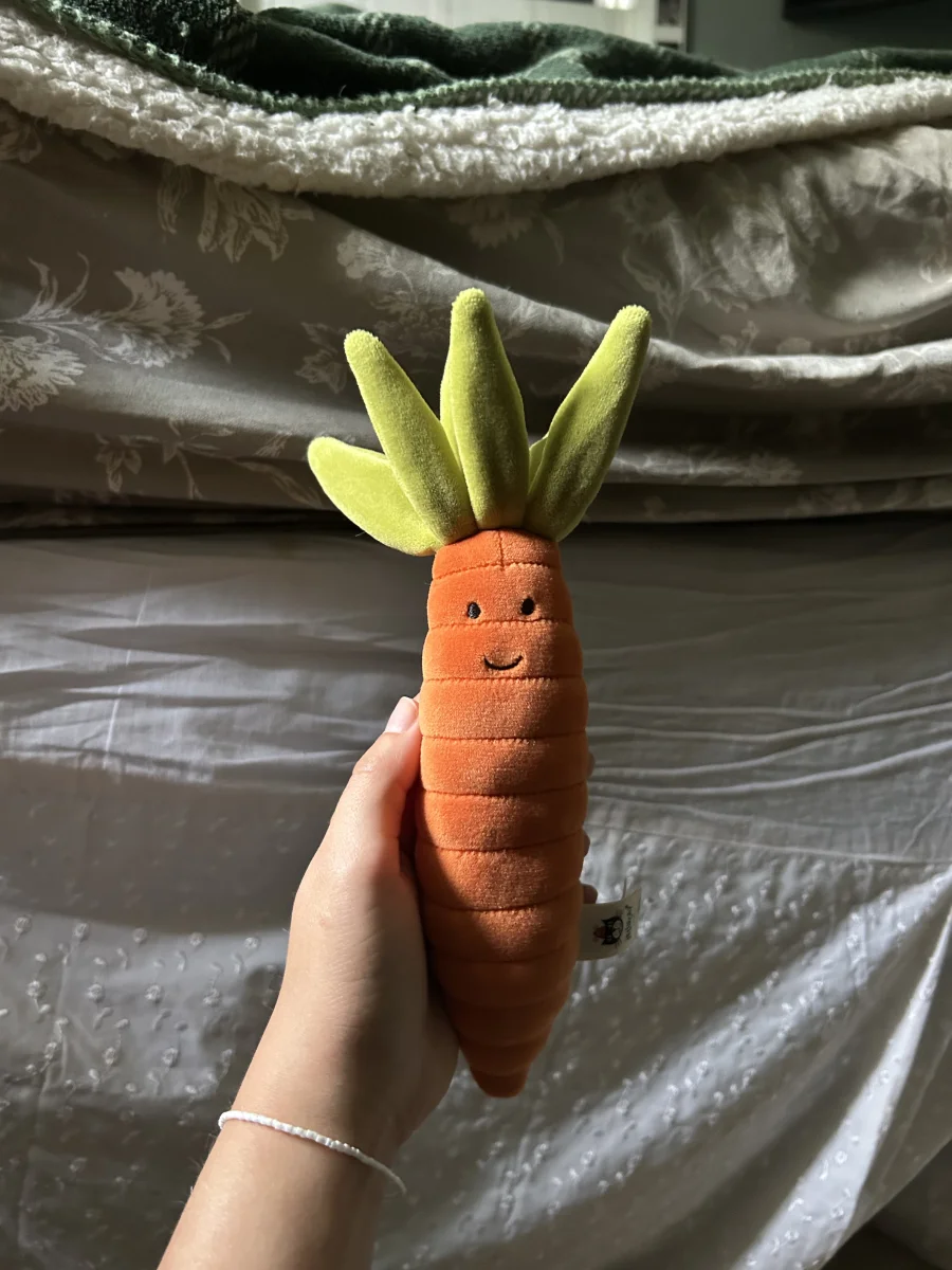 Front - Vivacious Vegetable Carrot photo by averyd2003