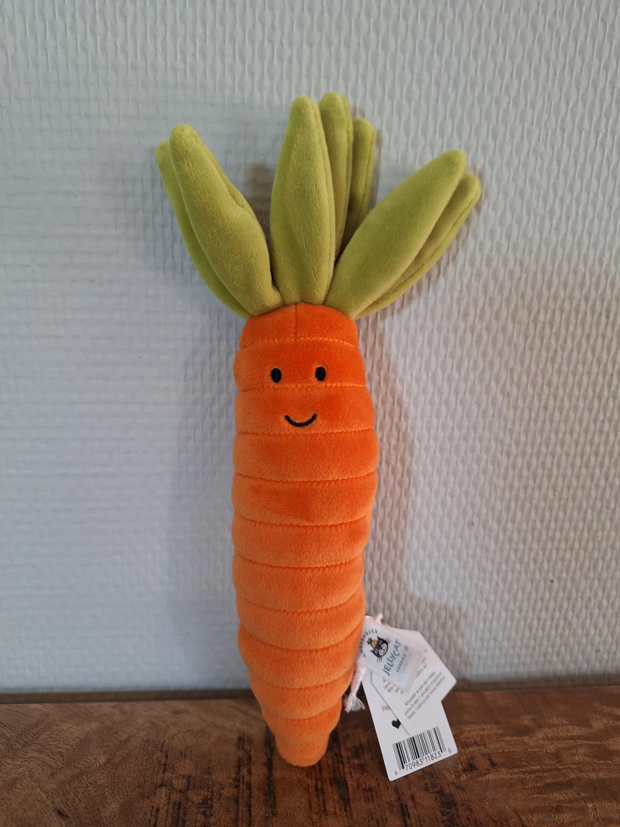 Front - Vivacious Vegetable Carrot photo by Sofie