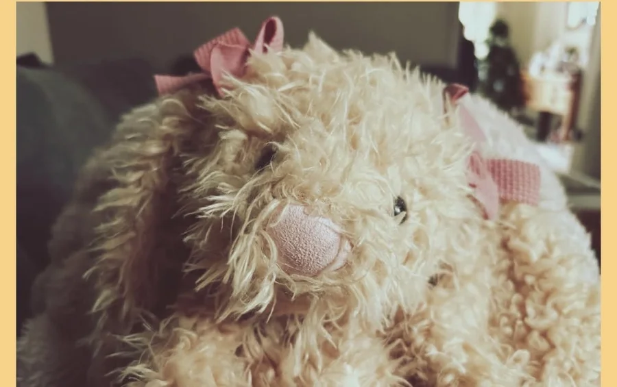 Front - Bashful Buttercup Bunny - Large photo by lottylovesjellycats