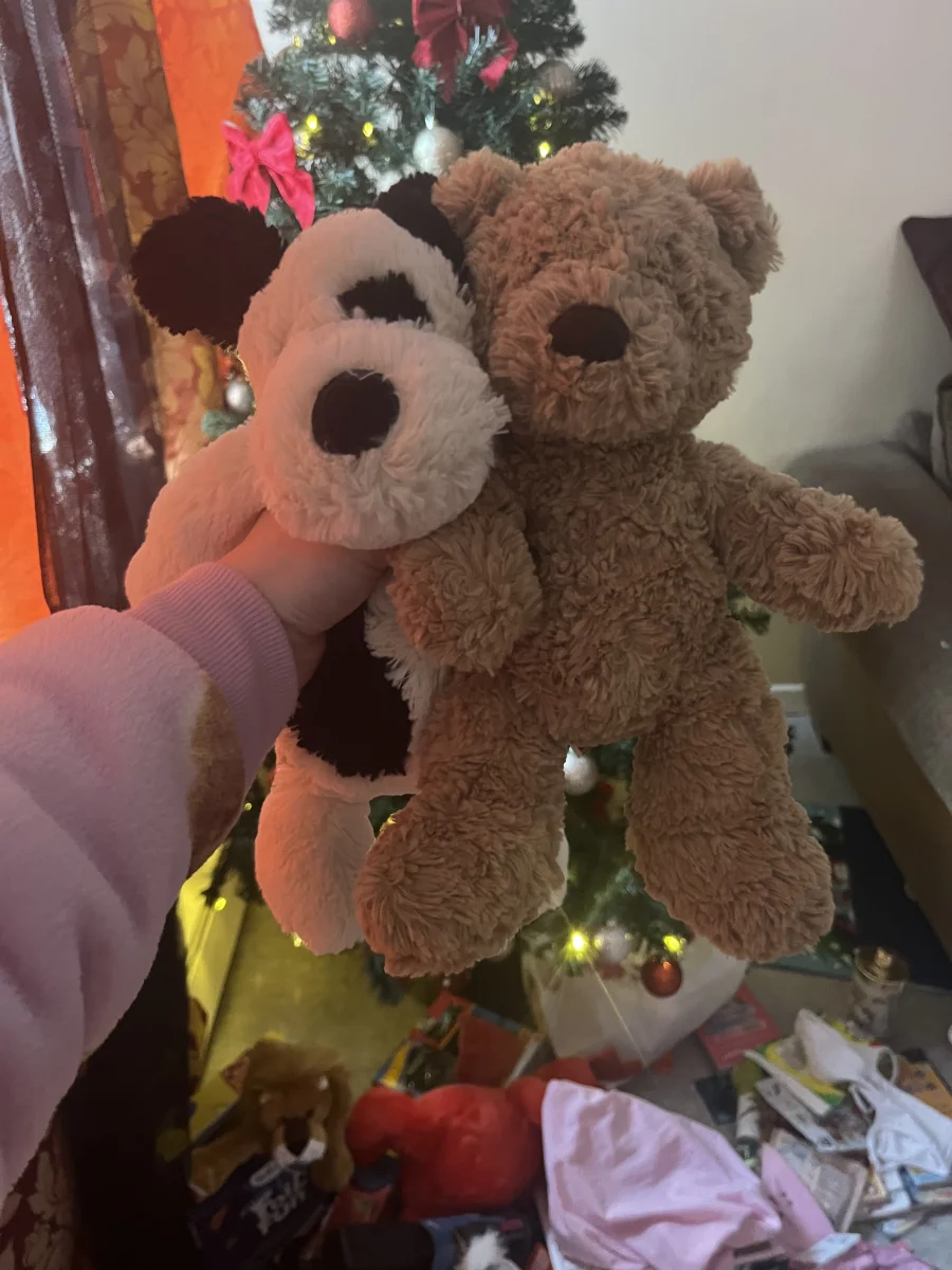 Lifestyle - Cinnamon Bear - Medium photo by AllieCat96