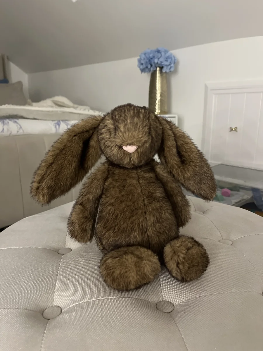 Front - Hoppleston Luxe Bunny photo by Azariakhan