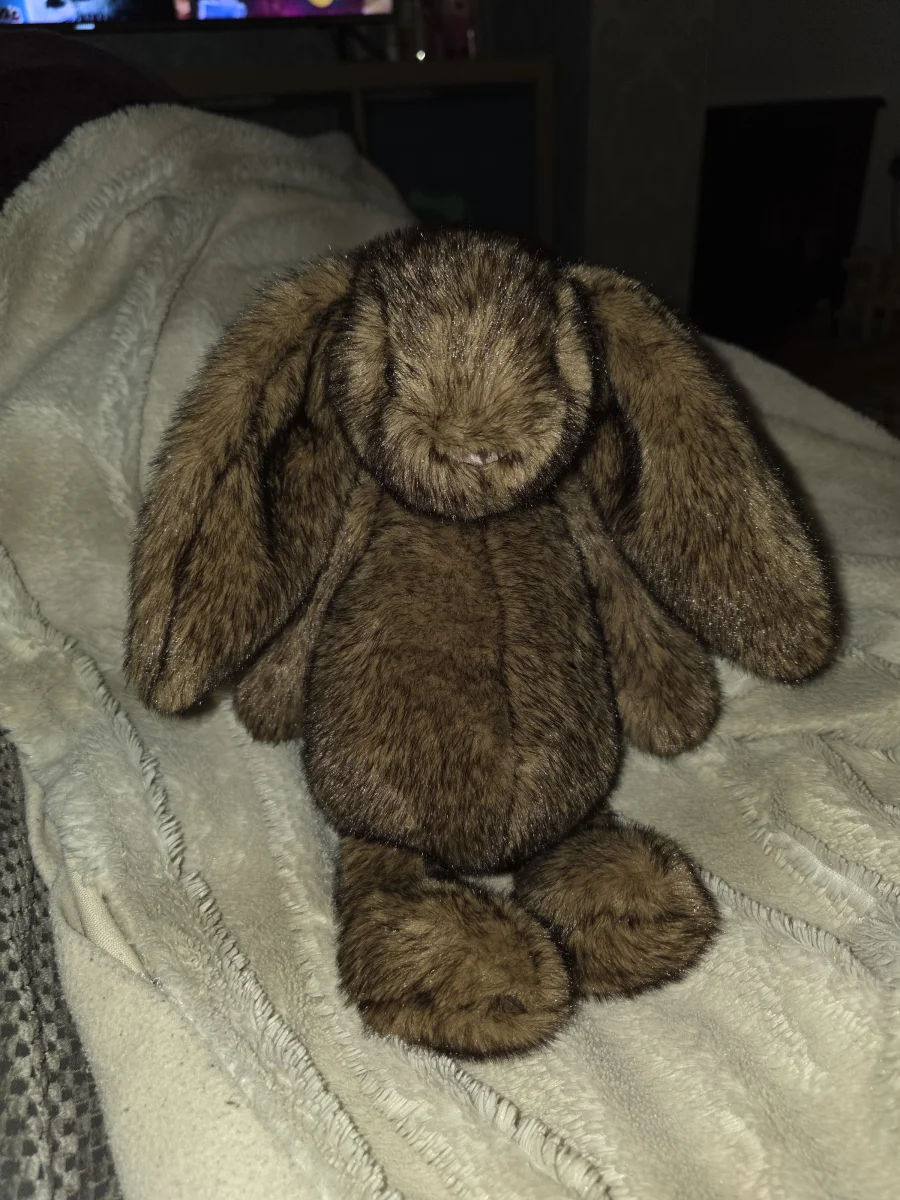 Hoppleston Luxe Bunny Photo by Rivellis - JellyCats Collection