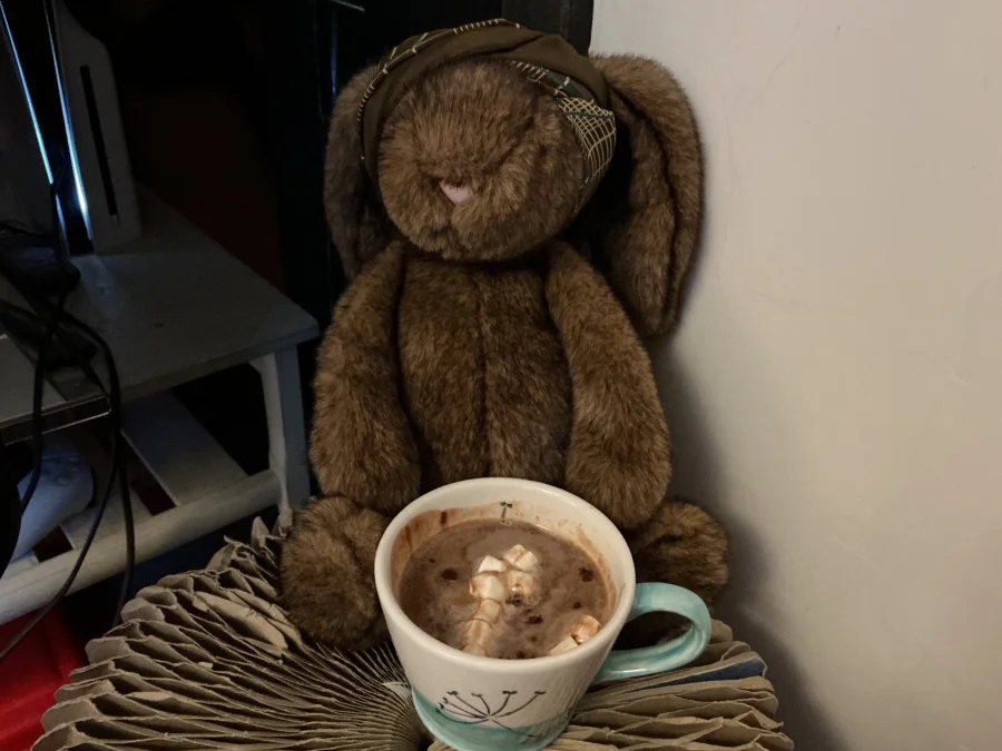 Front - Hoppleston Luxe Bunny photo by Bunny_Battilion