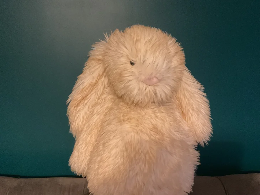 Front - Springlowe Luxe Bunny photo by JELLYCAT102