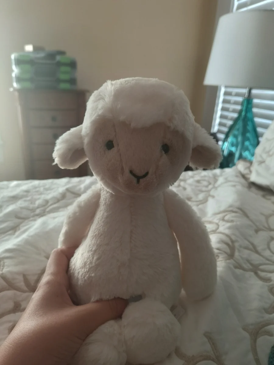 Front - Skipson Lamb photo by s1mplyraee