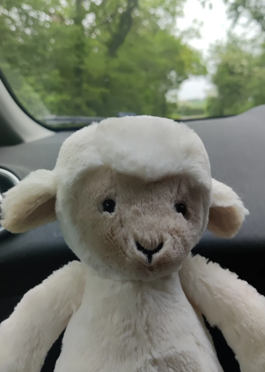 Front - Skipson Lamb photo by SamsonSue