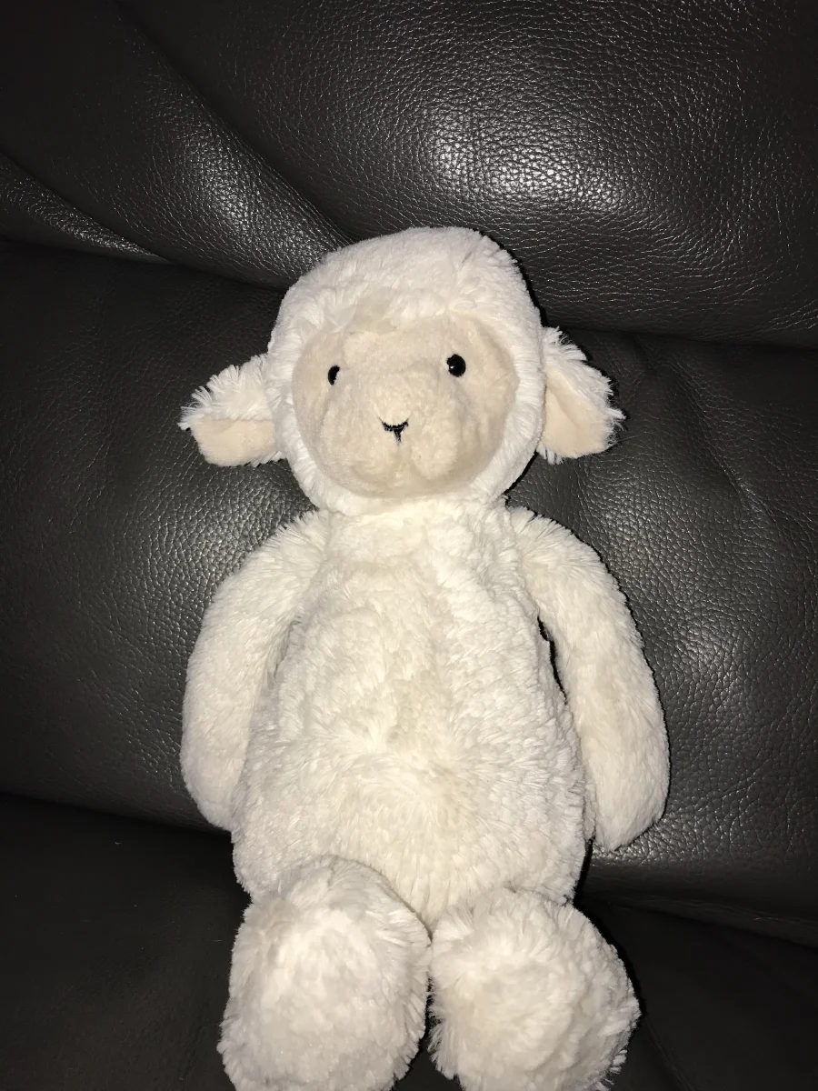Front - Skipson Lamb photo by LRTask