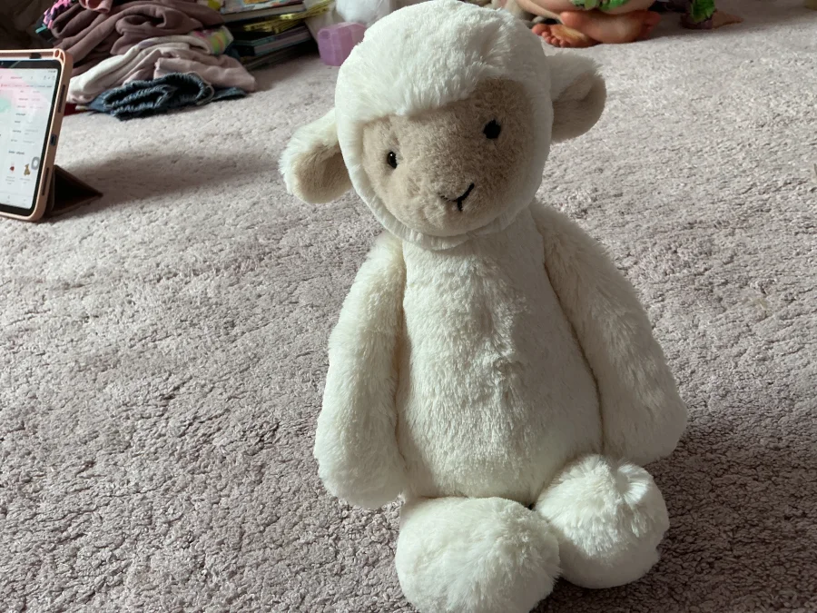 Front - Skipson Lamb photo by Asdqueen5678