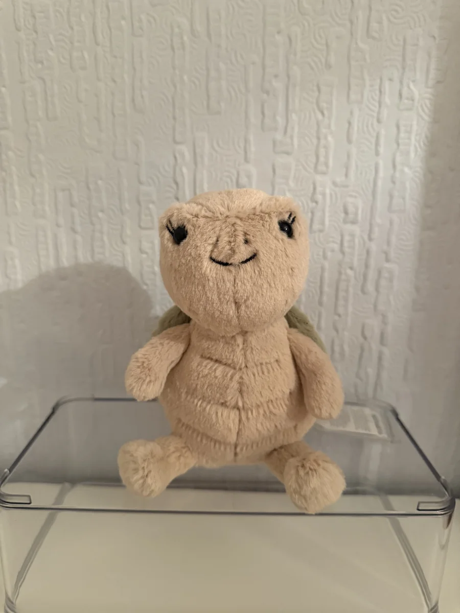 Front - Thimble Turtle photo by Bethanyxox