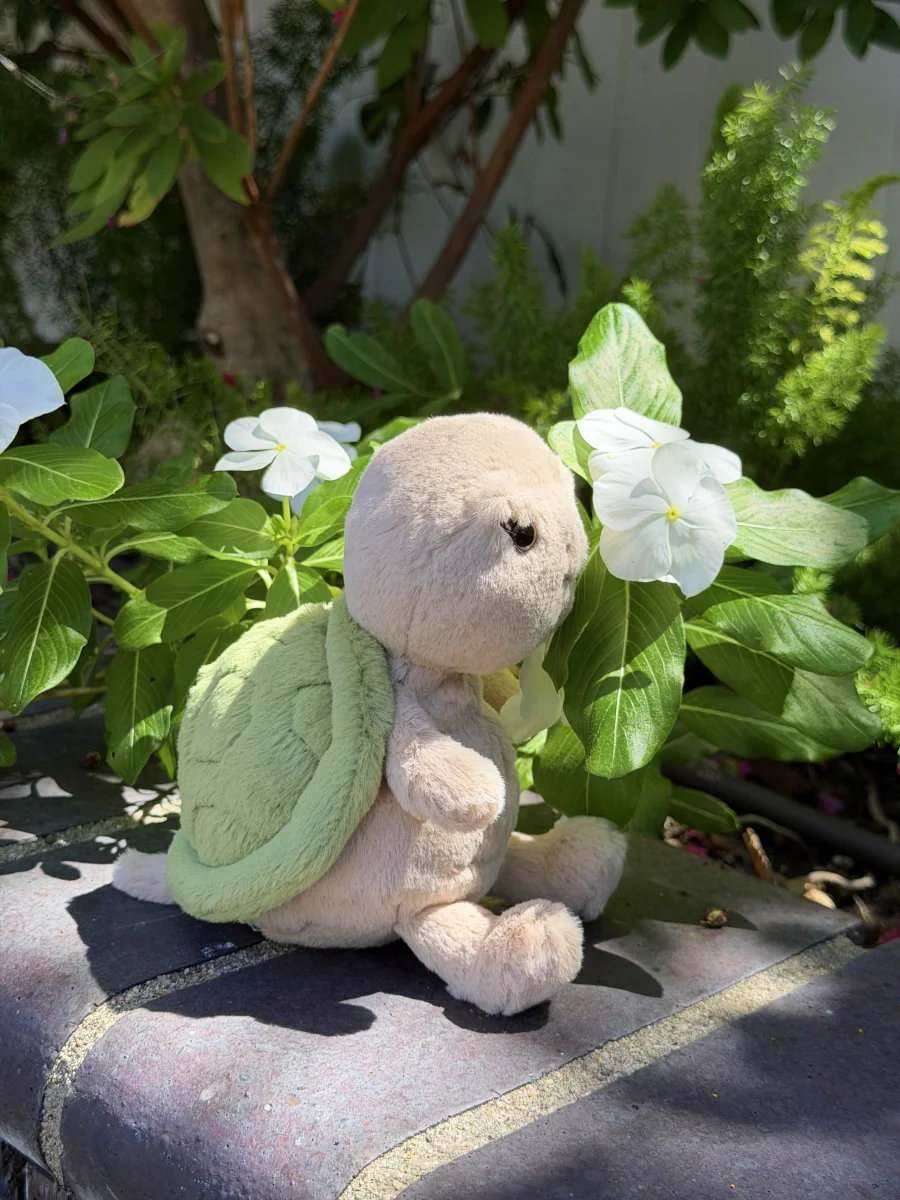 Side - Thimble Turtle photo by jellycatangel
