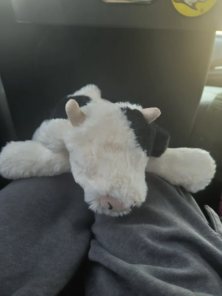 Front - Smudge Cow photo by s1mplyraee