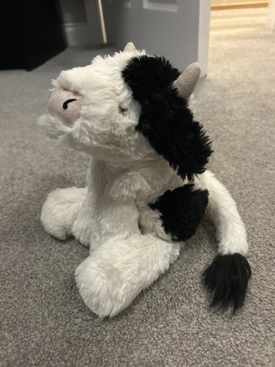 Side - Smudge Cow photo by GabbyCaEve