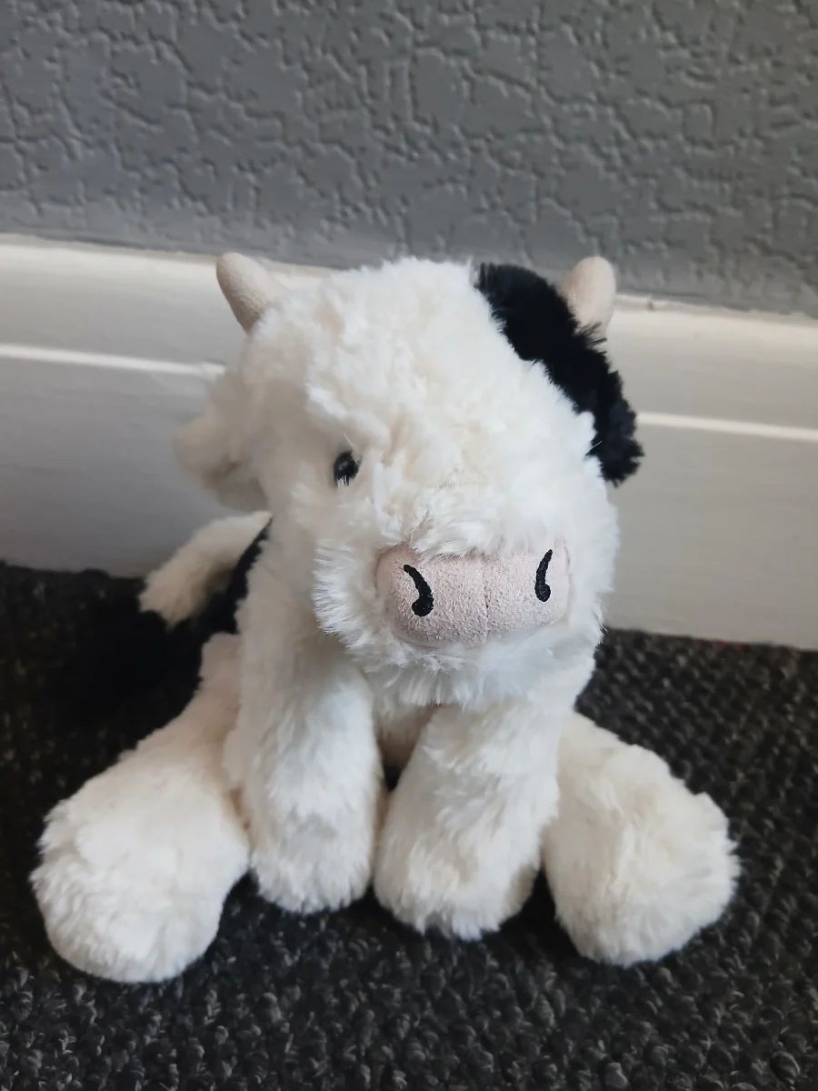 Front - Smudge Cow photo by JCConnoisseur