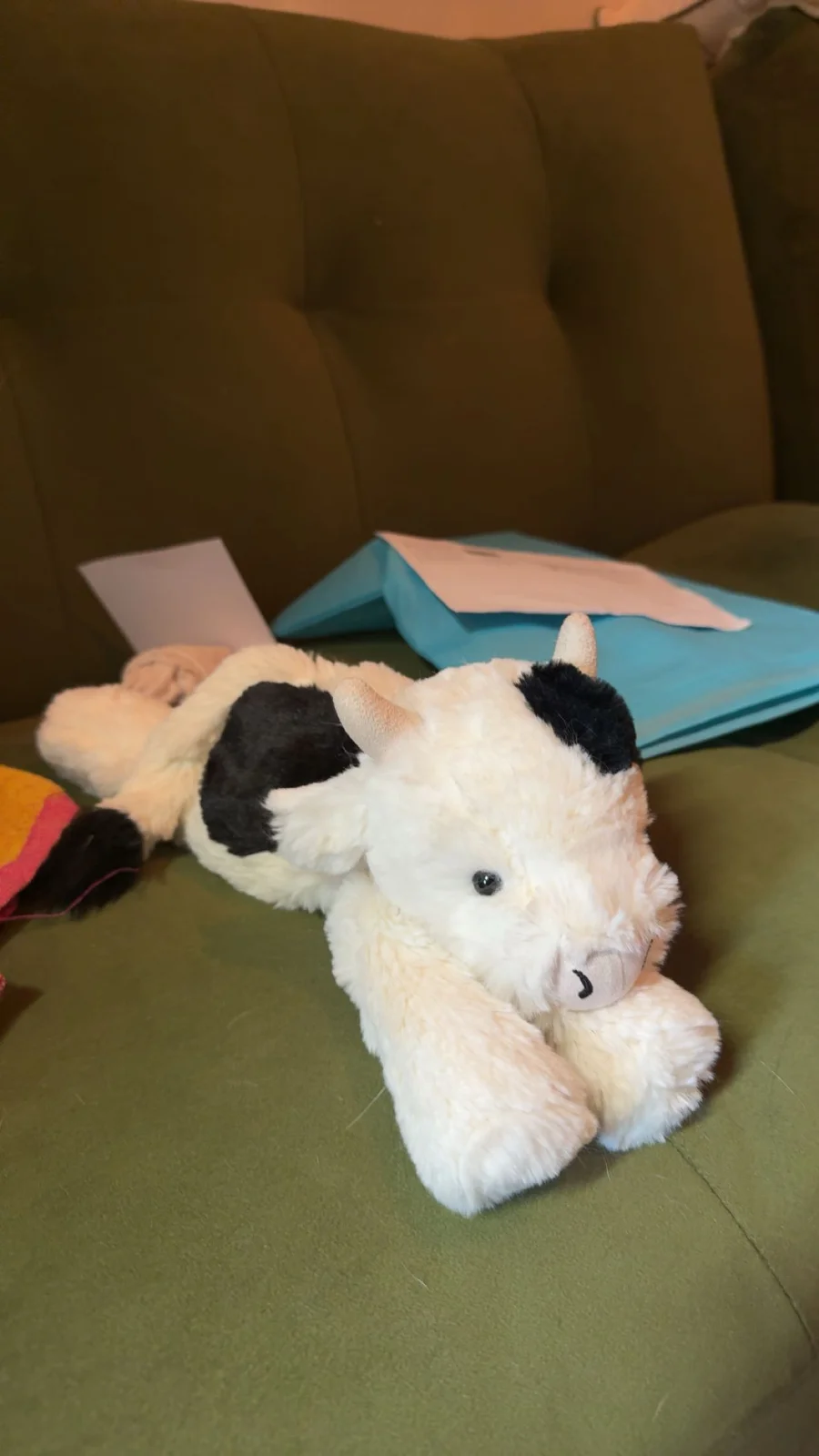Front - Smudge Cow photo by fleuescentj