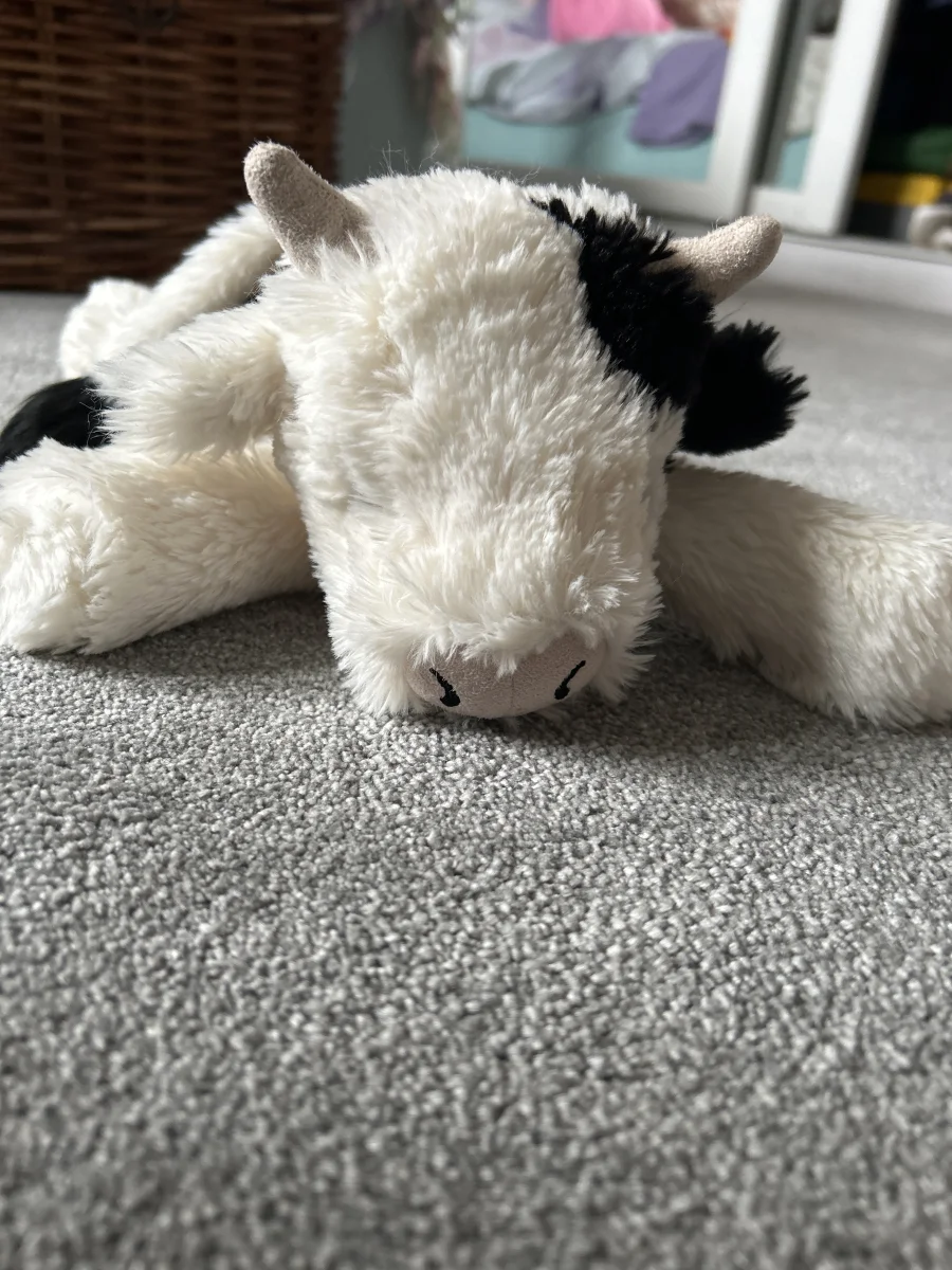 Front - Smudge Cow photo by Harper_hello