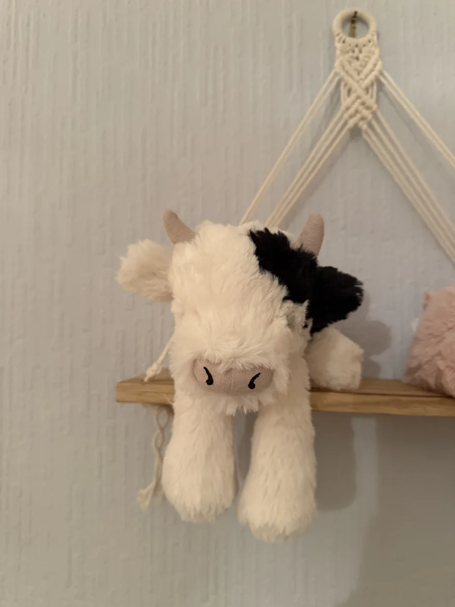 Front - Smudge Cow photo by Bethanyxox