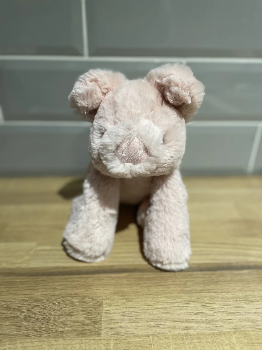 Front - Smudge Pig photo by cerys.lyne