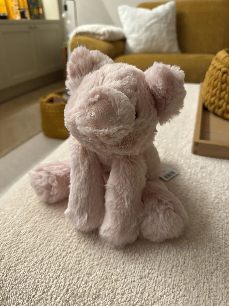 Front - Smudge Pig photo by Trace