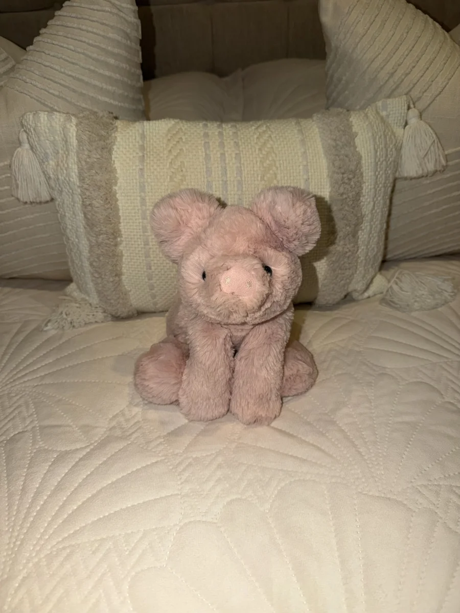 Front - Smudge Pig photo by MaisieRB